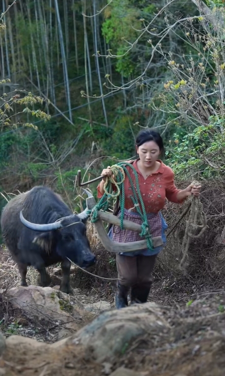 23 tuổi ly hôn làm mẹ đơn thân, 27 tuổi phá sản, gánh nợ 3 tỷ đồng: Hiện tại trở thành chủ tịch "nuôi sống" cả ngôi làng- Ảnh 4. 23 tuổi ly hôn làm mẹ đơn thân, 27 tuổi phá sản, gánh nợ 3 tỷ đồng: Hiện tại trở thành chủ tịch "nuôi sống" cả ngôi làng- Ảnh 4.