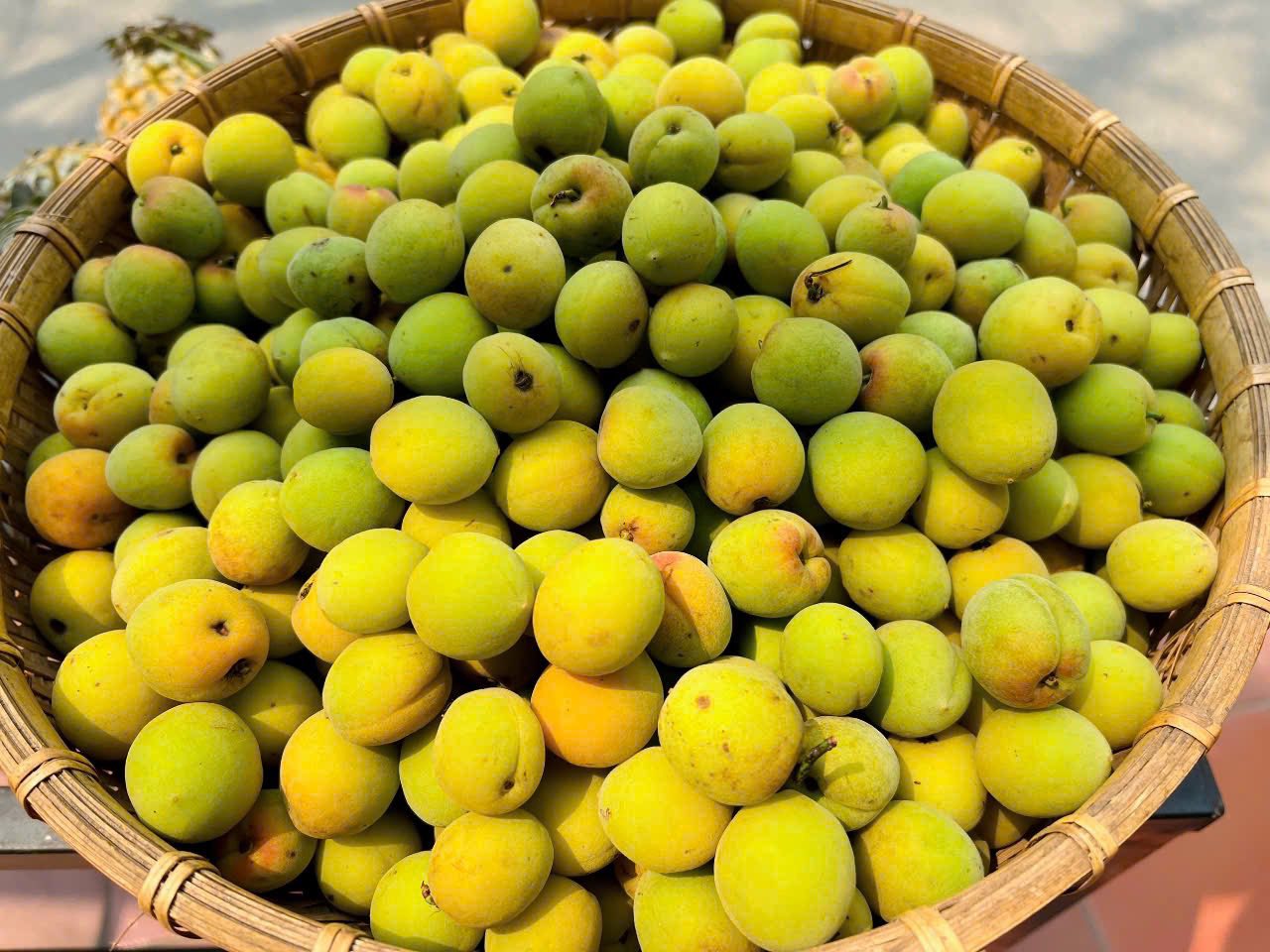 Loại quả vừa thơm vừa bổ vào mùa bán đầy chợ với giá rẻ bèo- Ảnh 2.