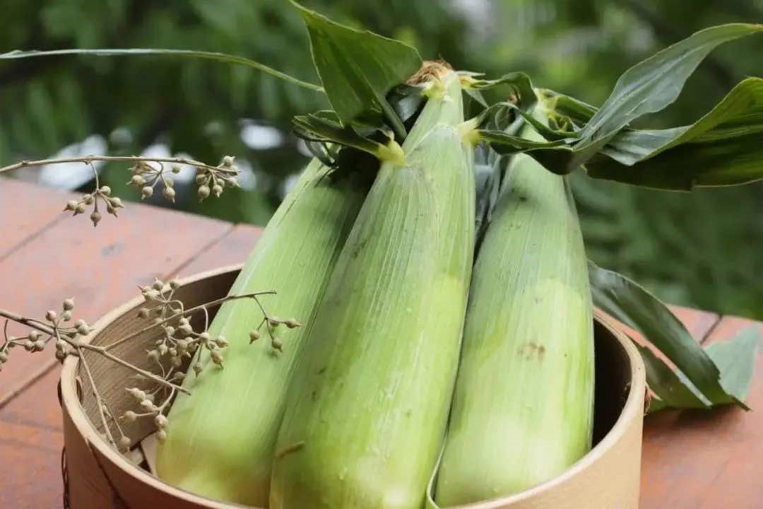 Món ăn chỉ cần nhắc đến tên đã chảy nước miếng, quan trọng là được nấu từ nguyên liệu không ngờ!- Ảnh 10. Món ăn chỉ cần nhắc đến tên đã chảy nước miếng, quan trọng là được nấu từ nguyên liệu không ngờ!- Ảnh 10.