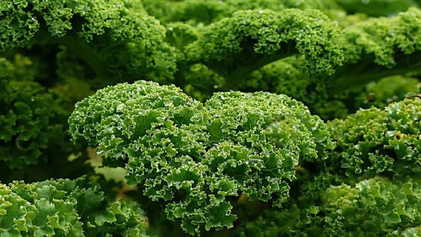 3 thói quen xấu khiến bạn già nhanh 3 thói quen xấu khiến bạn già nhanh