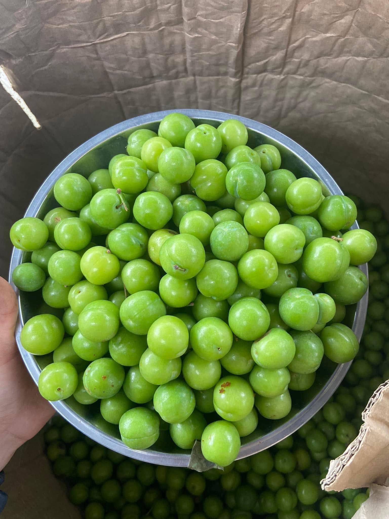 Loại quả đầu mùa vừa chua, vừa chát được nhiều chị em ‘săn đón’, tiểu thương nhập hàng bán cả tạ mỗi ngày- Ảnh 4.