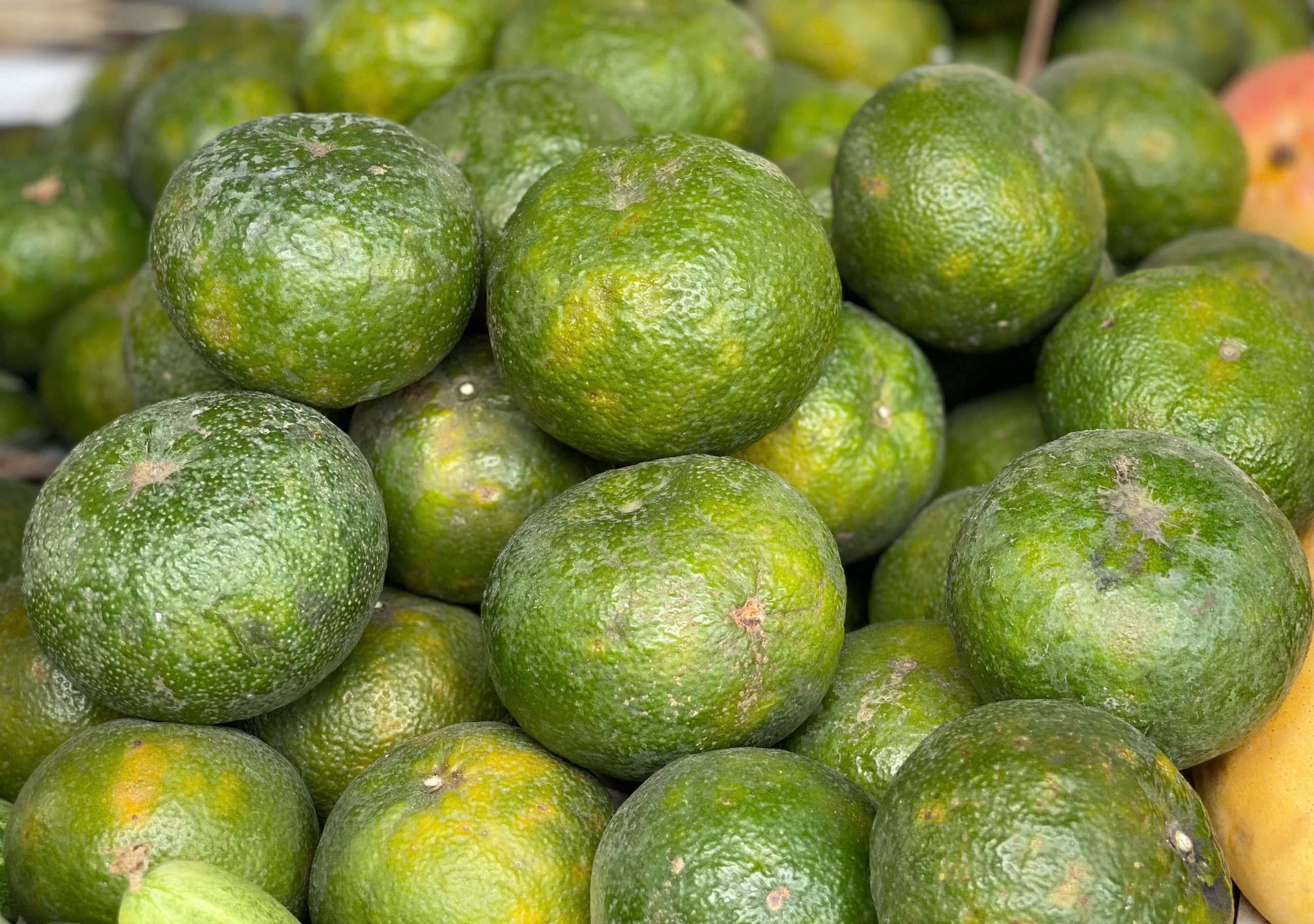 Loại quả giàu viatamin C đang vào mùa bán đầy chợ Việt giá chỉ 10.000 đồng/kg - Ảnh 5.
