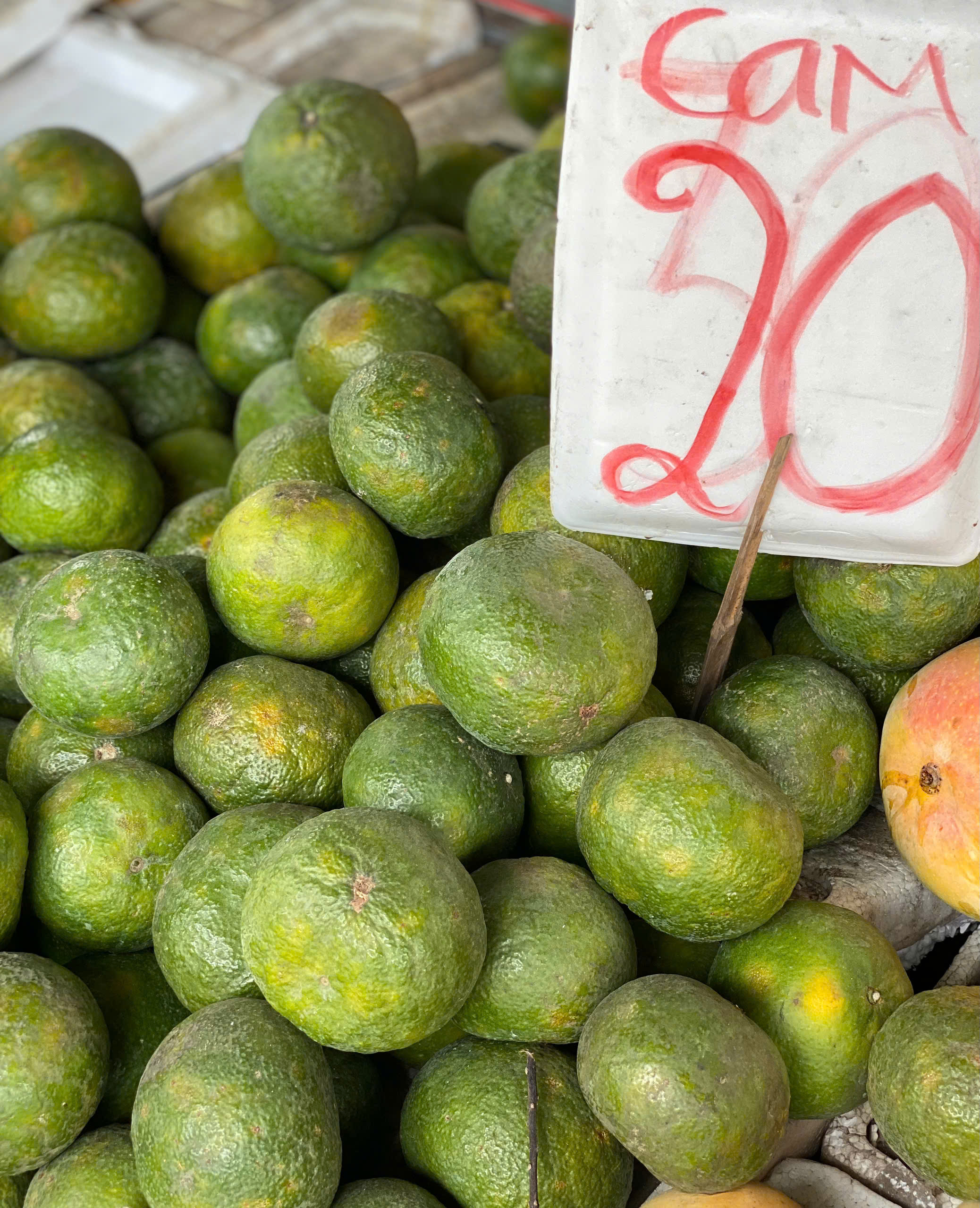 Loại quả giàu viatamin C đang vào mùa bán đầy chợ Việt giá chỉ 10.000 đồng/kg - Ảnh 7.