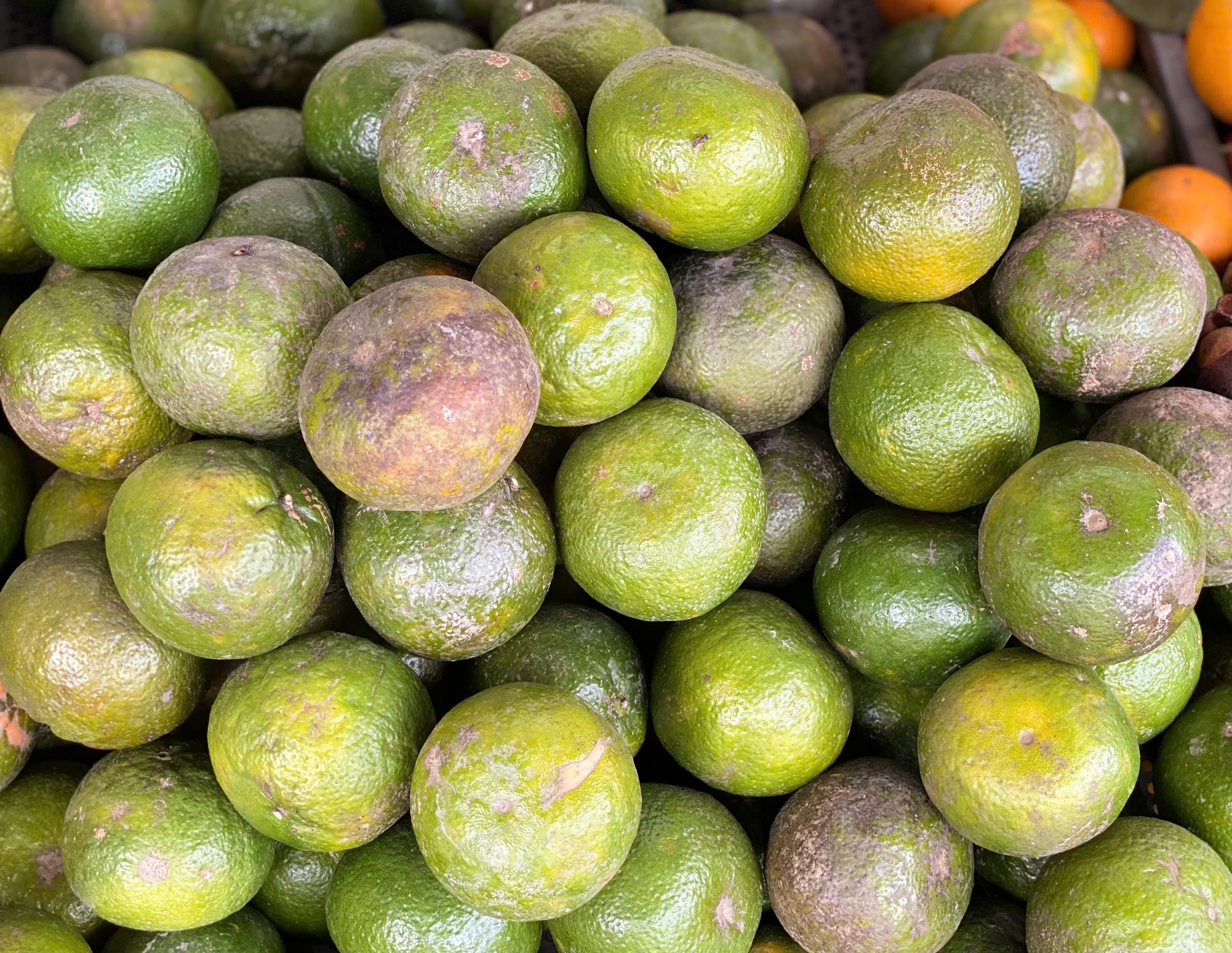 Loại quả giàu viatamin C đang vào mùa bán đầy chợ Việt giá chỉ 10.000 đồng/kg - Ảnh 2.
