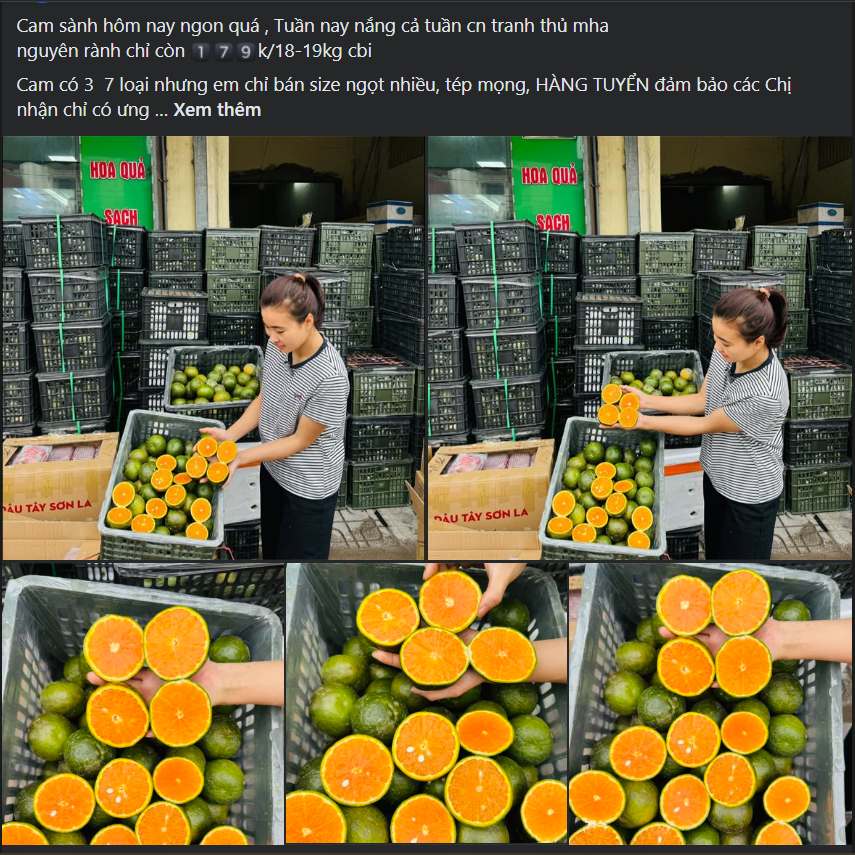 Loại quả giàu viatamin C đang vào mùa bán đầy chợ Việt giá chỉ 10.000 đồng/kg - Ảnh 1.