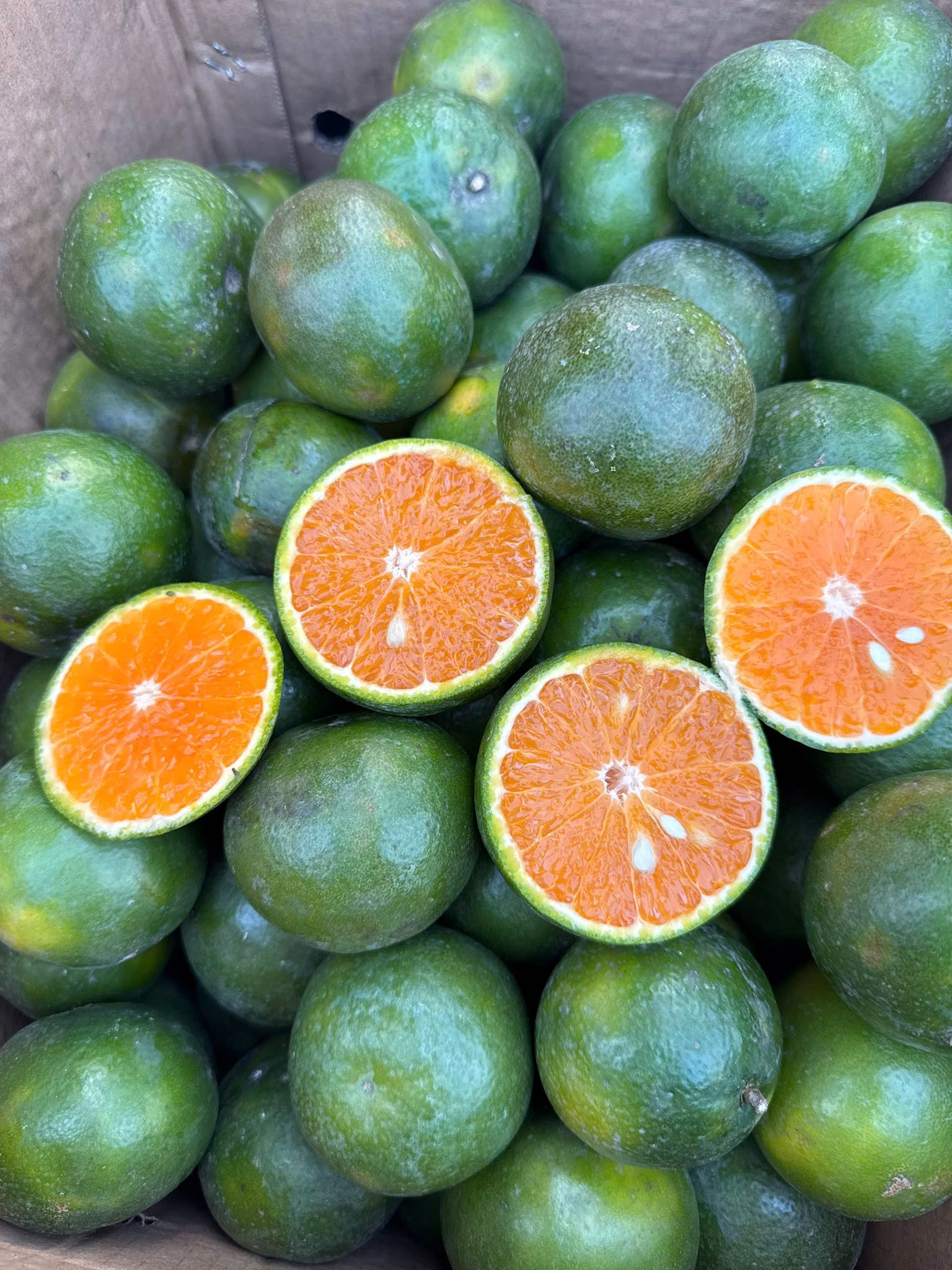 Loại quả giàu viatamin C đang vào mùa bán đầy chợ Việt giá chỉ 10.000 đồng/kg - Ảnh 4.