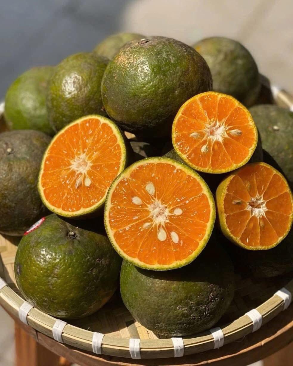 Loại quả giàu viatamin C đang vào mùa bán đầy chợ Việt giá chỉ 10.000 đồng/kg - Ảnh 10.