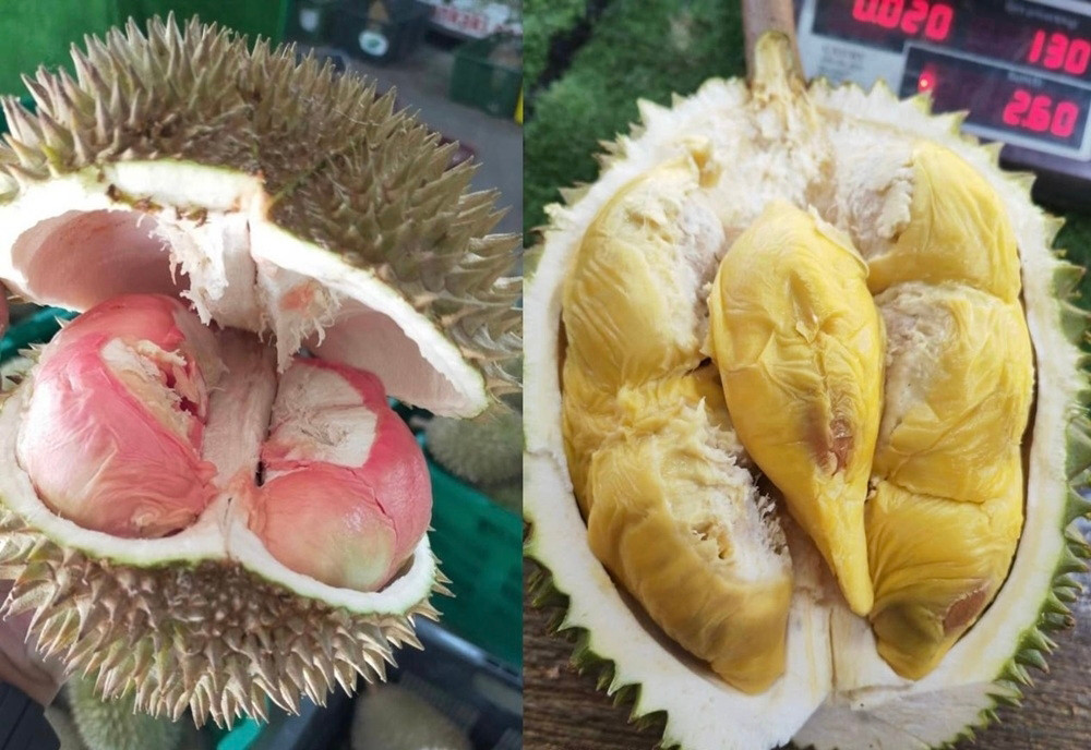 Loại sầu riêng mới giá lên tới gần 800.000 đồng/kg gây sốt - Ảnh 1. Loại sầu riêng mới giá lên tới gần 800.000 đồng/kg gây sốt - Ảnh 1.