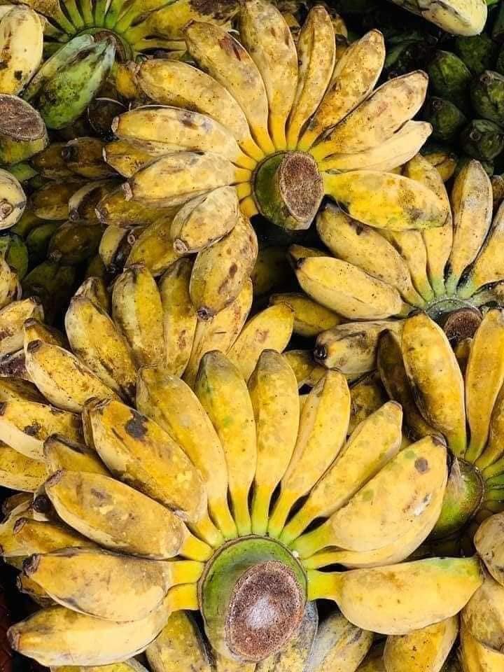 Nhà hào môn không thiếu sơn hào hải vị nhưng Tăng Thanh Hà 'mừng như bắt được vàng' khi được cho thứ này- Ảnh 3. Nhà hào môn không thiếu sơn hào hải vị nhưng Tăng Thanh Hà 'mừng như bắt được vàng' khi được cho thứ này- Ảnh 3.
