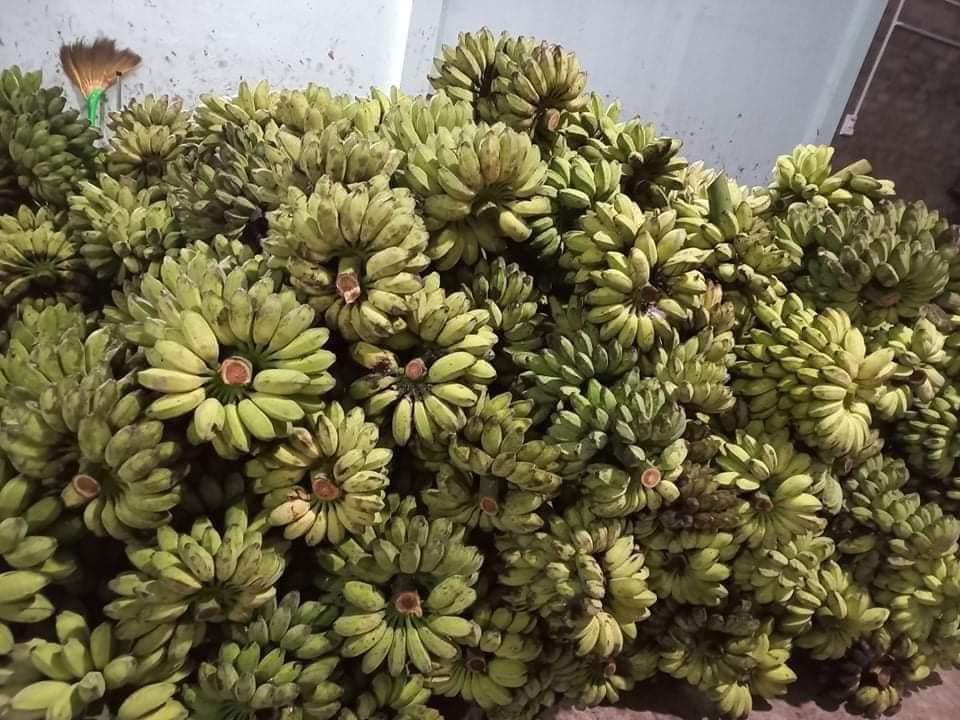 Nhà hào môn không thiếu sơn hào hải vị nhưng Tăng Thanh Hà 'mừng như bắt được vàng' khi được cho thứ này- Ảnh 6. Nhà hào môn không thiếu sơn hào hải vị nhưng Tăng Thanh Hà 'mừng như bắt được vàng' khi được cho thứ này- Ảnh 6.