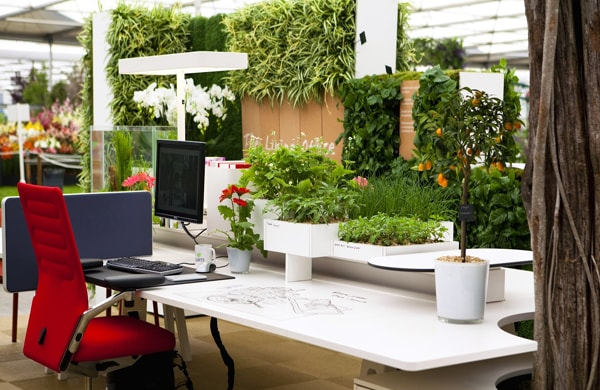 Những điều nên tránh khi trang trí nhà ở theo phong thủy cho người mệnh Kim- Ảnh 3.