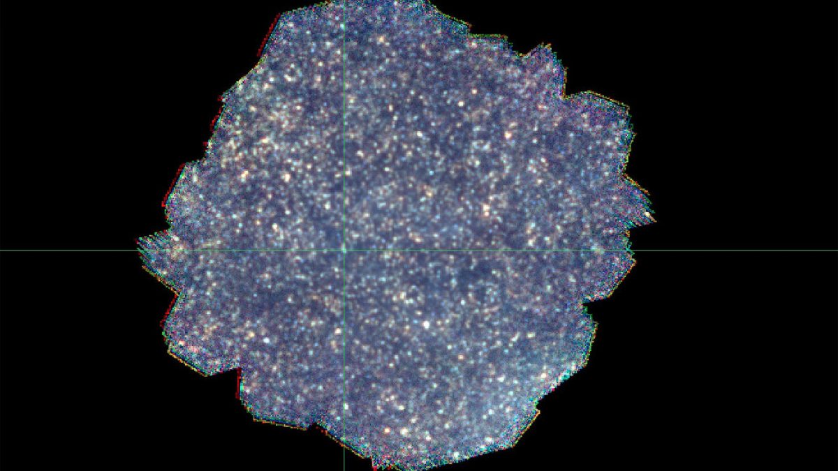 herschel-spire-dark-field-1200x675-17472825975831821901036-1747354986491-1747354986597903459203.jpg