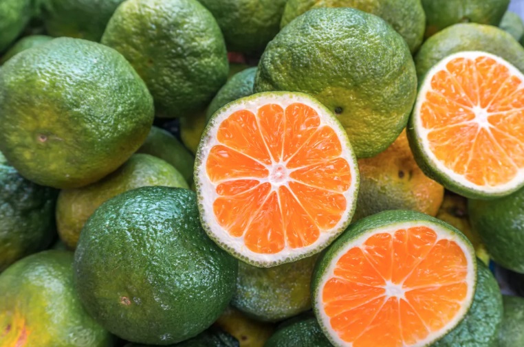 Mùa hè, uống nước cam vào thời điểm này để thải độc gan, cải thiện tiêu hóa và tăng cường miễn dịch- Ảnh 2.