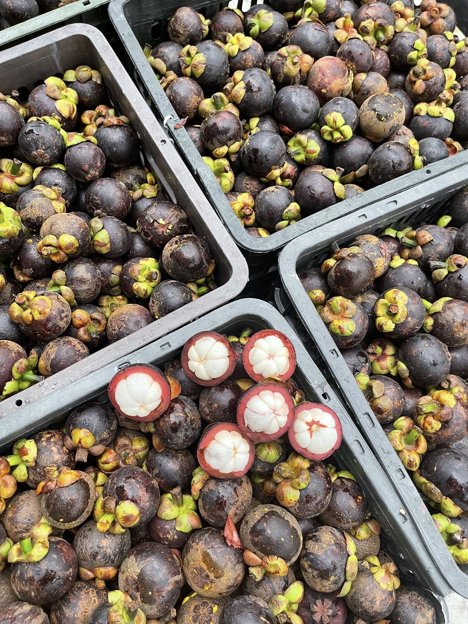 Loại quả được ví là ‘nữ hoàng’ trái cây đầu mùa giá cao, tiểu thương không dám nhập hàng vì sợ lỗ vốn- Ảnh 7.