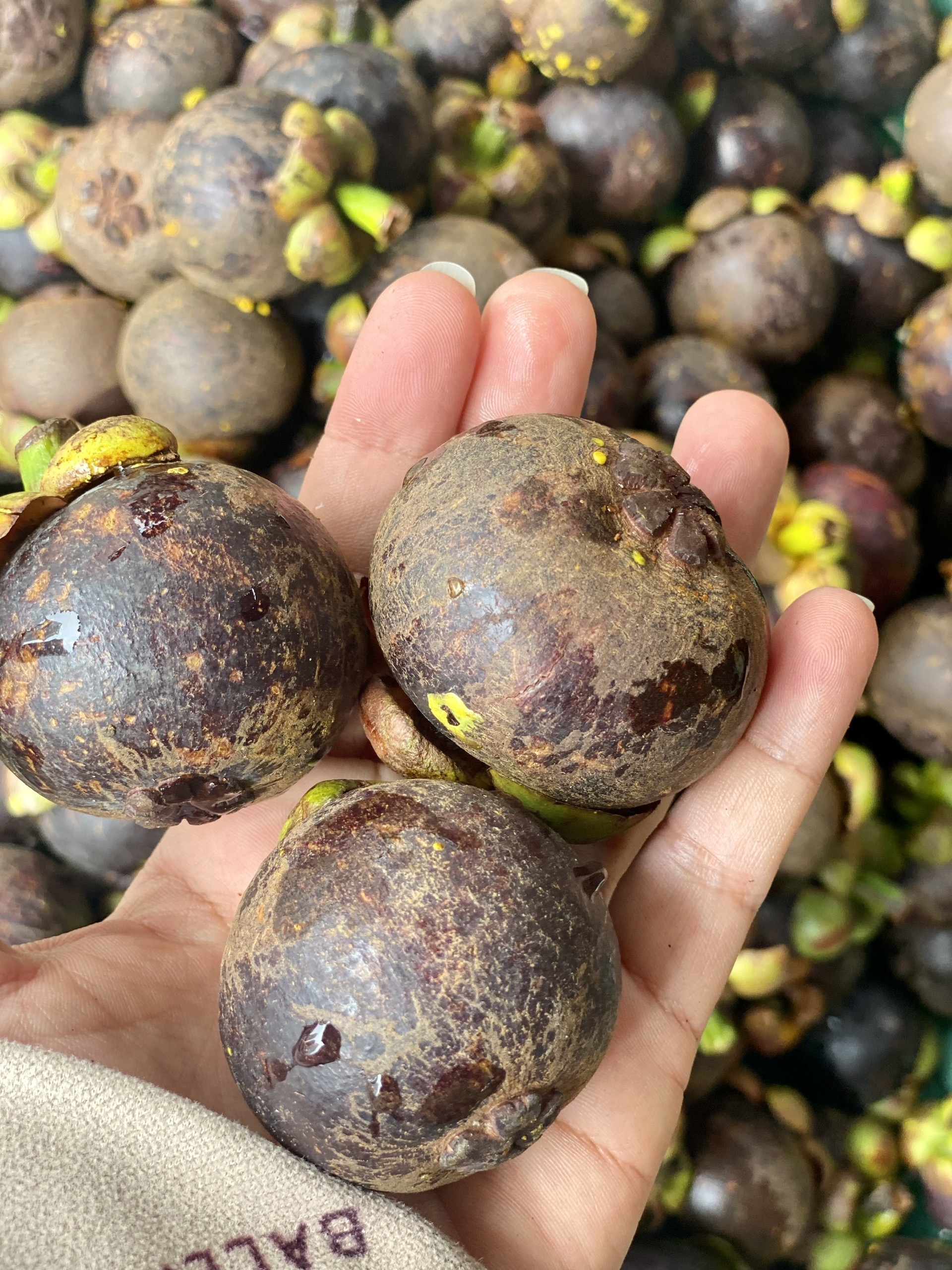 Loại quả được ví là ‘nữ hoàng’ trái cây đầu mùa giá cao, tiểu thương không dám nhập hàng vì sợ lỗ vốn- Ảnh 9.