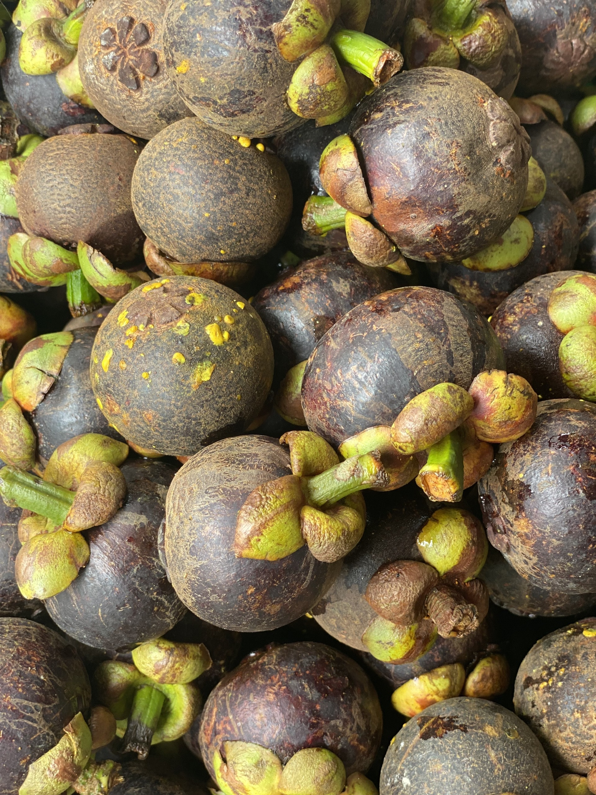 Loại quả được ví là ‘nữ hoàng’ trái cây đầu mùa giá cao, tiểu thương không dám nhập hàng vì sợ lỗ vốn- Ảnh 8.