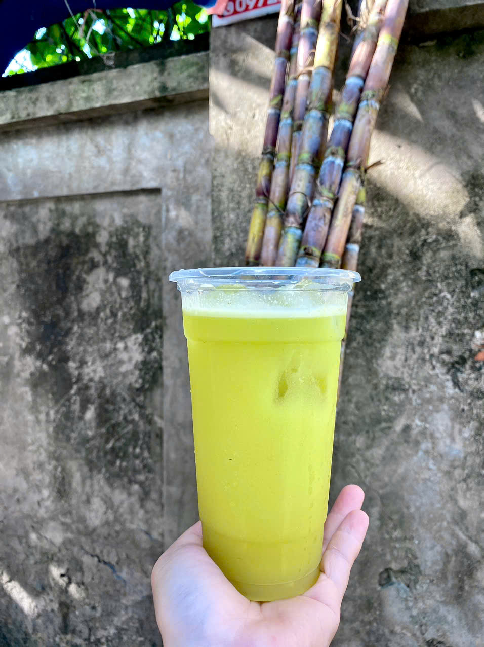 Đồ uống được làm từ một loại rau dại bất ngờ ‘lên ngôi’ khi thời tiết vào mùa nắng nóng - Ảnh 3. Đồ uống được làm từ một loại rau dại bất ngờ ‘lên ngôi’ khi thời tiết vào mùa nắng nóng - Ảnh 3.