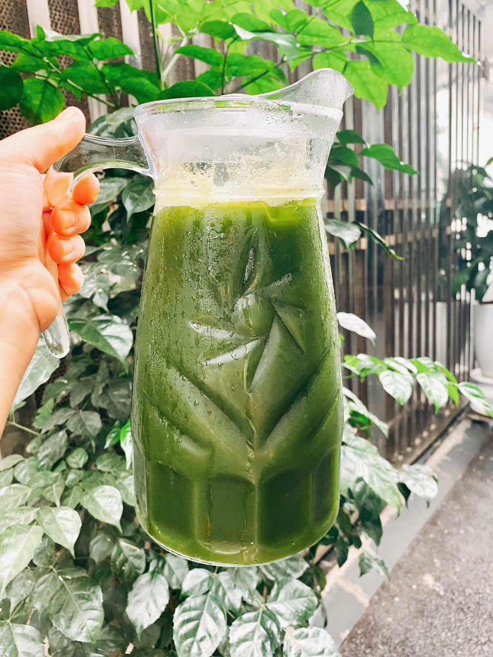 Đồ uống được làm từ một loại rau dại bất ngờ ‘lên ngôi’ khi thời tiết vào mùa nắng nóng - Ảnh 6. Đồ uống được làm từ một loại rau dại bất ngờ ‘lên ngôi’ khi thời tiết vào mùa nắng nóng - Ảnh 6.