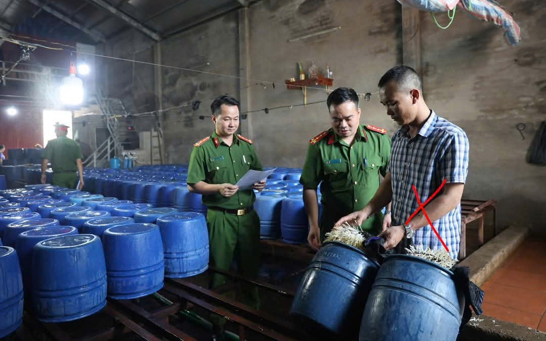 Bắc Giang: Bắt chủ cơ sở b&aacute;n 60 tấn gi&aacute; đỗ ng&acirc;m chất tăng trưởng