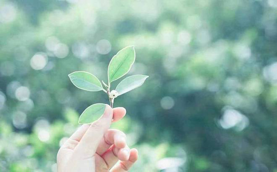 Phụ nữ cô đơn quá lâu thường có 3 đặc điểm này - Ảnh 2. Phụ nữ cô đơn quá lâu thường có 3 đặc điểm này - Ảnh 2.
