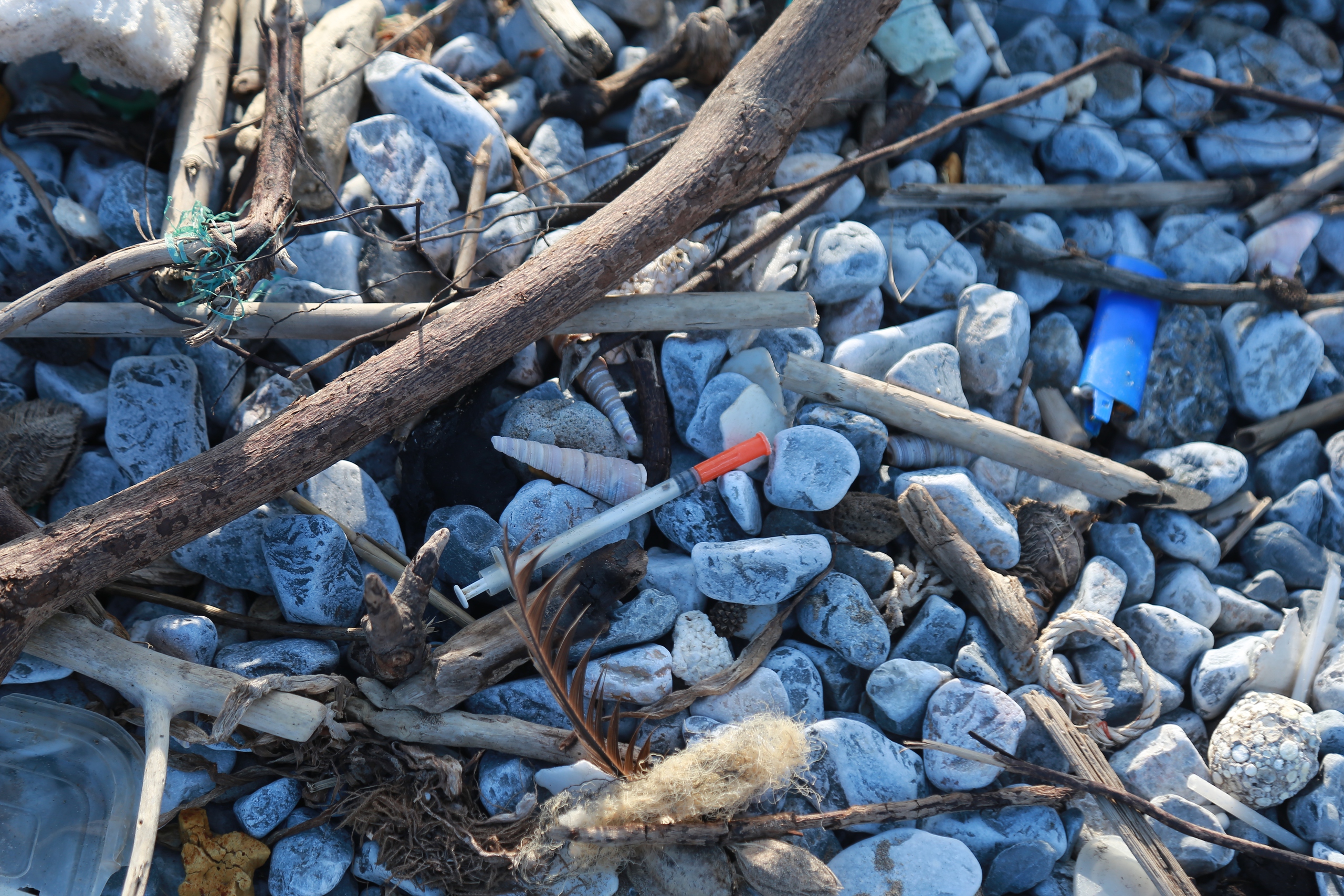 Rác phủ đầy bờ biển Rạng Đông ở Nam Định du khách vẫn vô tư tắm biển- Ảnh 8.