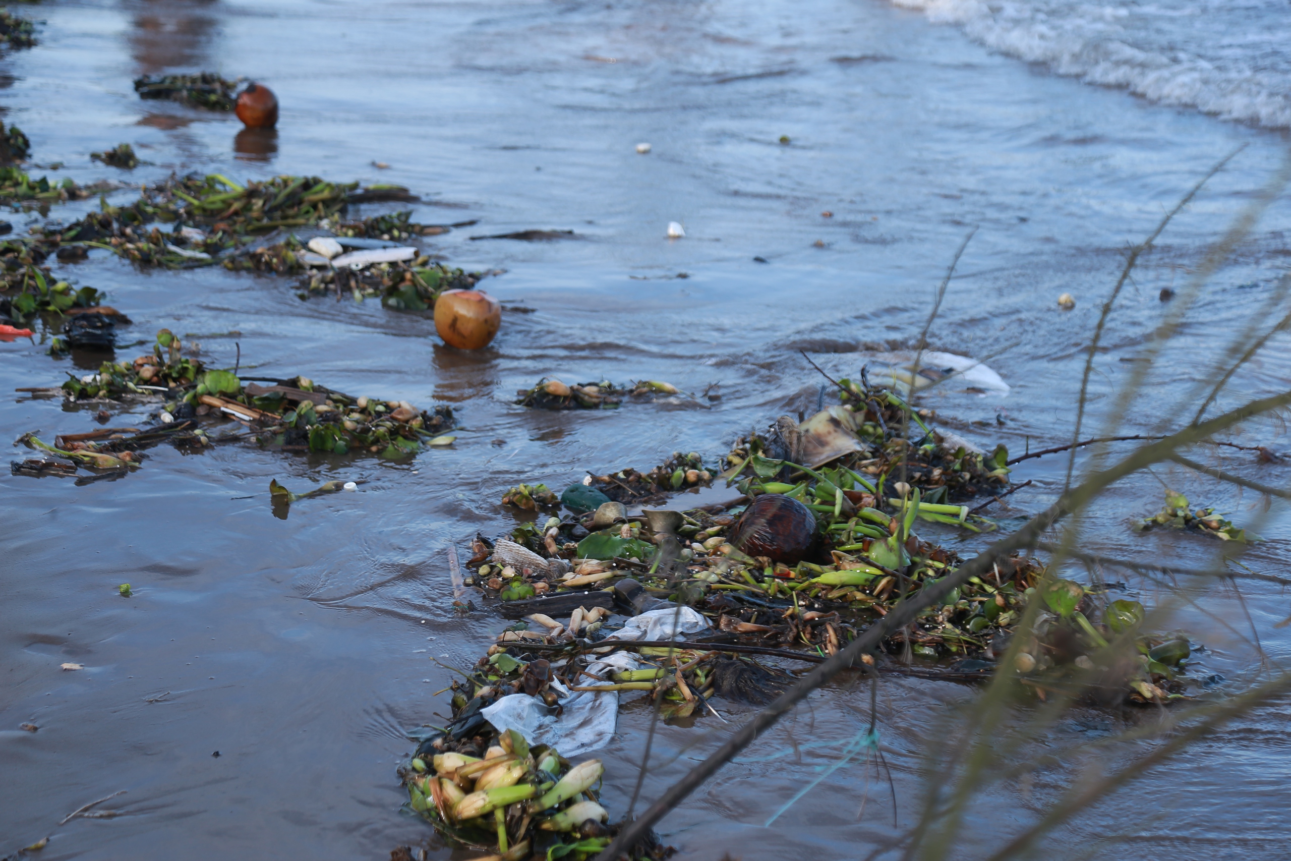 Rác phủ đầy bờ biển Rạng Đông ở Nam Định du khách vẫn vô tư tắm biển- Ảnh 13.