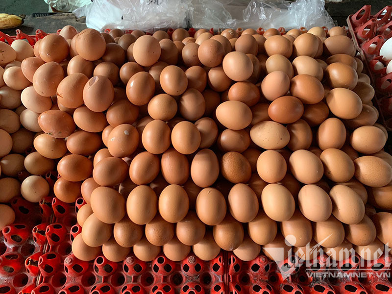 Một quốc gia Đông Nam Á bỏ cả trợ cấp giá trứng gà, thả nổi theo thị trường - Ảnh 1. Một quốc gia Đông Nam Á bỏ cả trợ cấp giá trứng gà, thả nổi theo thị trường - Ảnh 1.