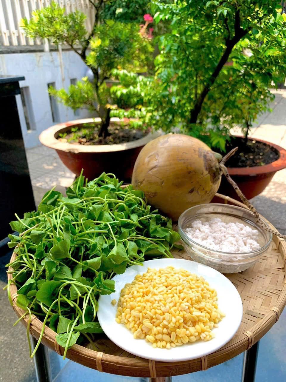 Loại rau được ví như ‘nhân sâm’ trước mọc dại nay thành đặc sản không đủ bán- Ảnh 9. Loại rau được ví như ‘nhân sâm’ trước mọc dại nay thành đặc sản không đủ bán- Ảnh 9.