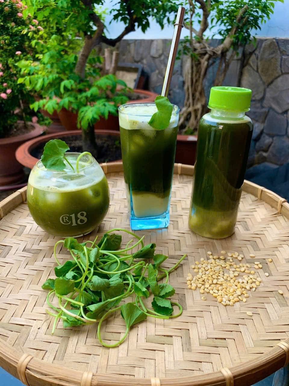 Loại rau được ví như ‘nhân sâm’ trước mọc dại nay thành đặc sản không đủ bán- Ảnh 11. Loại rau được ví như ‘nhân sâm’ trước mọc dại nay thành đặc sản không đủ bán- Ảnh 11.