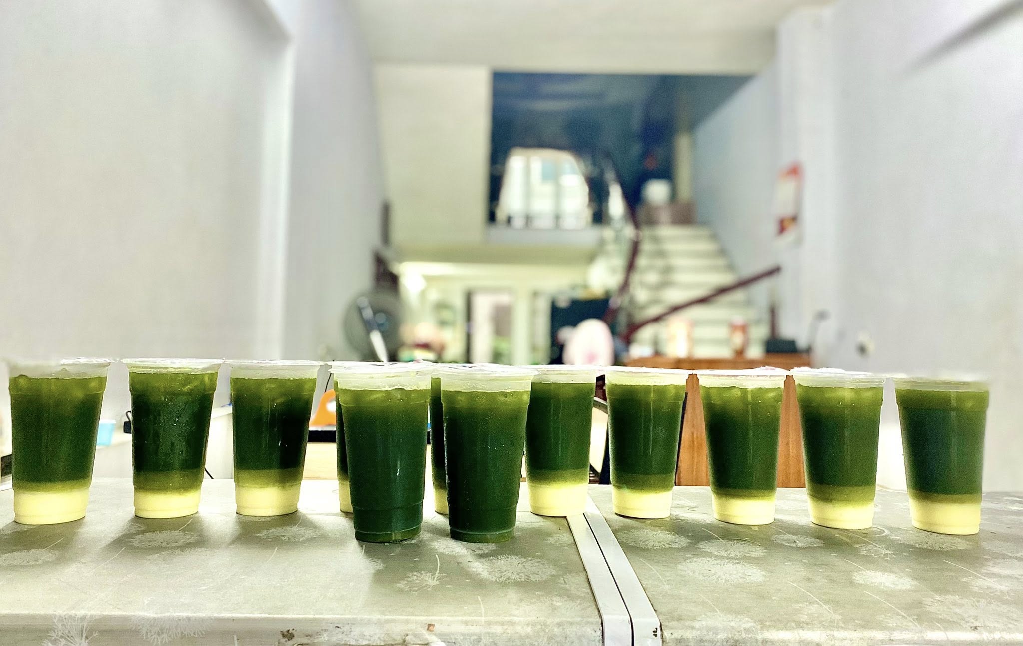 Loại rau được ví như ‘nhân sâm’ trước mọc dại nay thành đặc sản không đủ bán- Ảnh 12. Loại rau được ví như ‘nhân sâm’ trước mọc dại nay thành đặc sản không đủ bán- Ảnh 12.