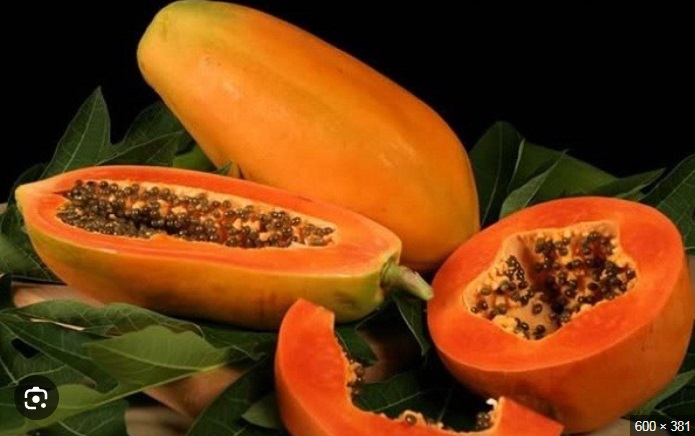 Trái cây này ăn đúng thời điểm giúp làm sạch ruột, da đẹp dáng xinh- Ảnh 3. Trái cây này ăn đúng thời điểm giúp làm sạch ruột, da đẹp dáng xinh- Ảnh 3.