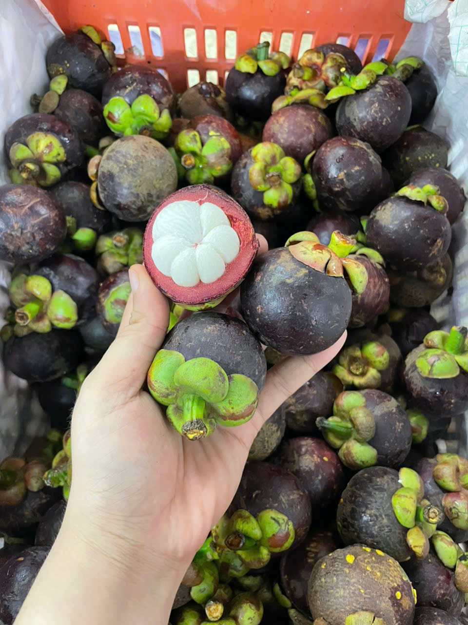 Không phải gỏi gà, măng cụt vào mùa gây sốt với đồ uống giải nhiệt ngày hè- Ảnh 3. Không phải gỏi gà, măng cụt vào mùa gây sốt với đồ uống giải nhiệt ngày hè- Ảnh 3.