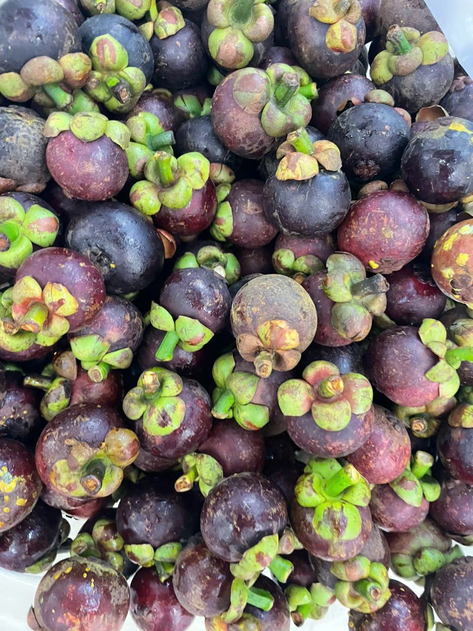 Không phải gỏi gà, măng cụt vào mùa gây sốt với đồ uống giải nhiệt ngày hè- Ảnh 2. Không phải gỏi gà, măng cụt vào mùa gây sốt với đồ uống giải nhiệt ngày hè- Ảnh 2.