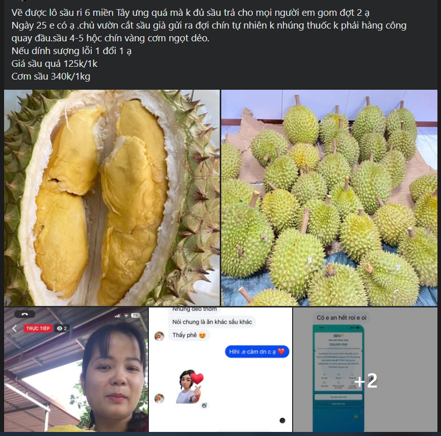 Loạn giá sầu riêng, nơi bán vài chục nghìn nơi hàng trăm nghìn đồng/kg- Ảnh 6.