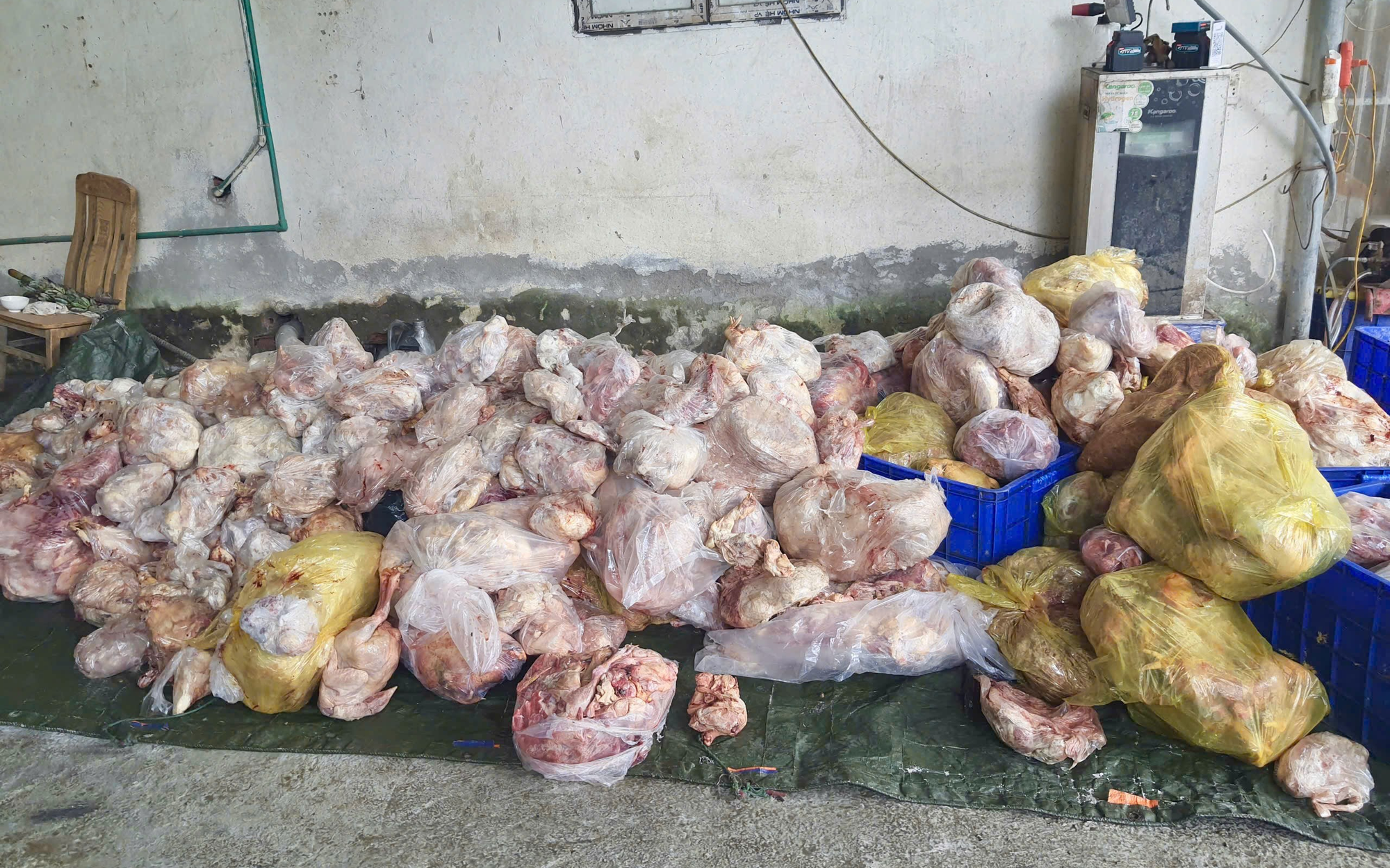 Kinh hoàng gần 5 tấn thực phẩm đông lạnh bốc mùi hôi thối, suýt tuồn ra thị trường