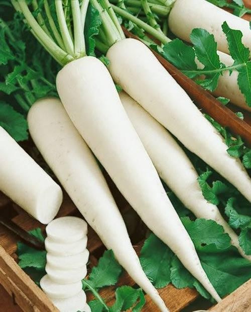 Loại củ dân dã dễ bị coi thường lại là 'vị thuốc trong bếp', giúp ổn định đường huyết, kiểm soát tiểu đường hiệu quả- Ảnh 2.