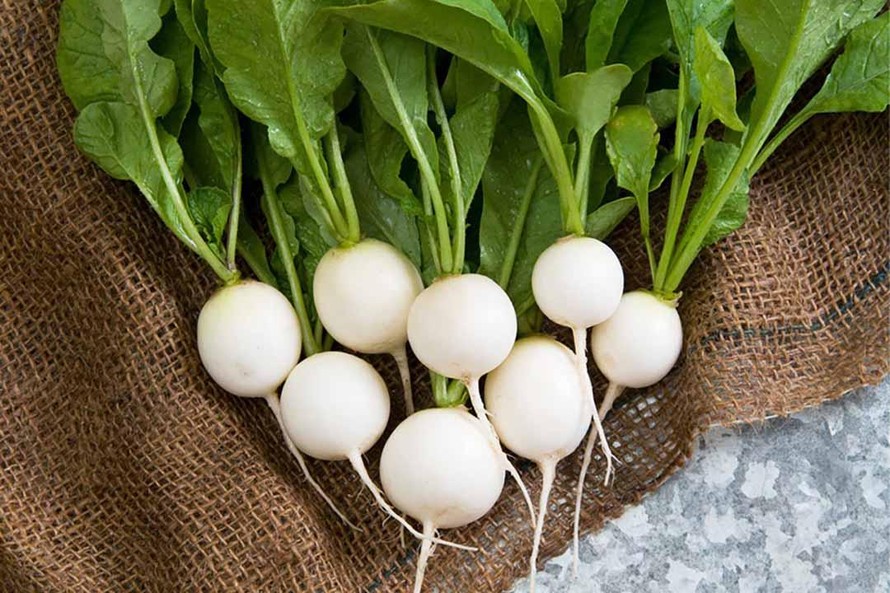 Loại củ dân dã dễ bị coi thường lại là 'vị thuốc trong bếp', giúp ổn định đường huyết, kiểm soát tiểu đường hiệu quả- Ảnh 1. Loại củ dân dã dễ bị coi thường lại là 'vị thuốc trong bếp', giúp ổn định đường huyết, kiểm soát tiểu đường hiệu quả- Ảnh 1.