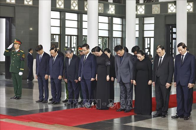 quang-ngai-24525-12-1748072779925-17480727800251103590325.jpg