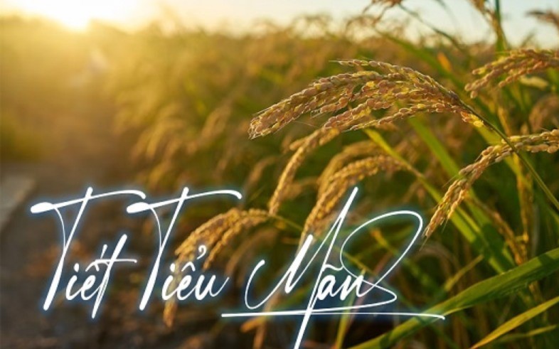tiet-tieu-man-17480578061761136699434-0-0-491-786-crop-17480584042701656090958.jpg