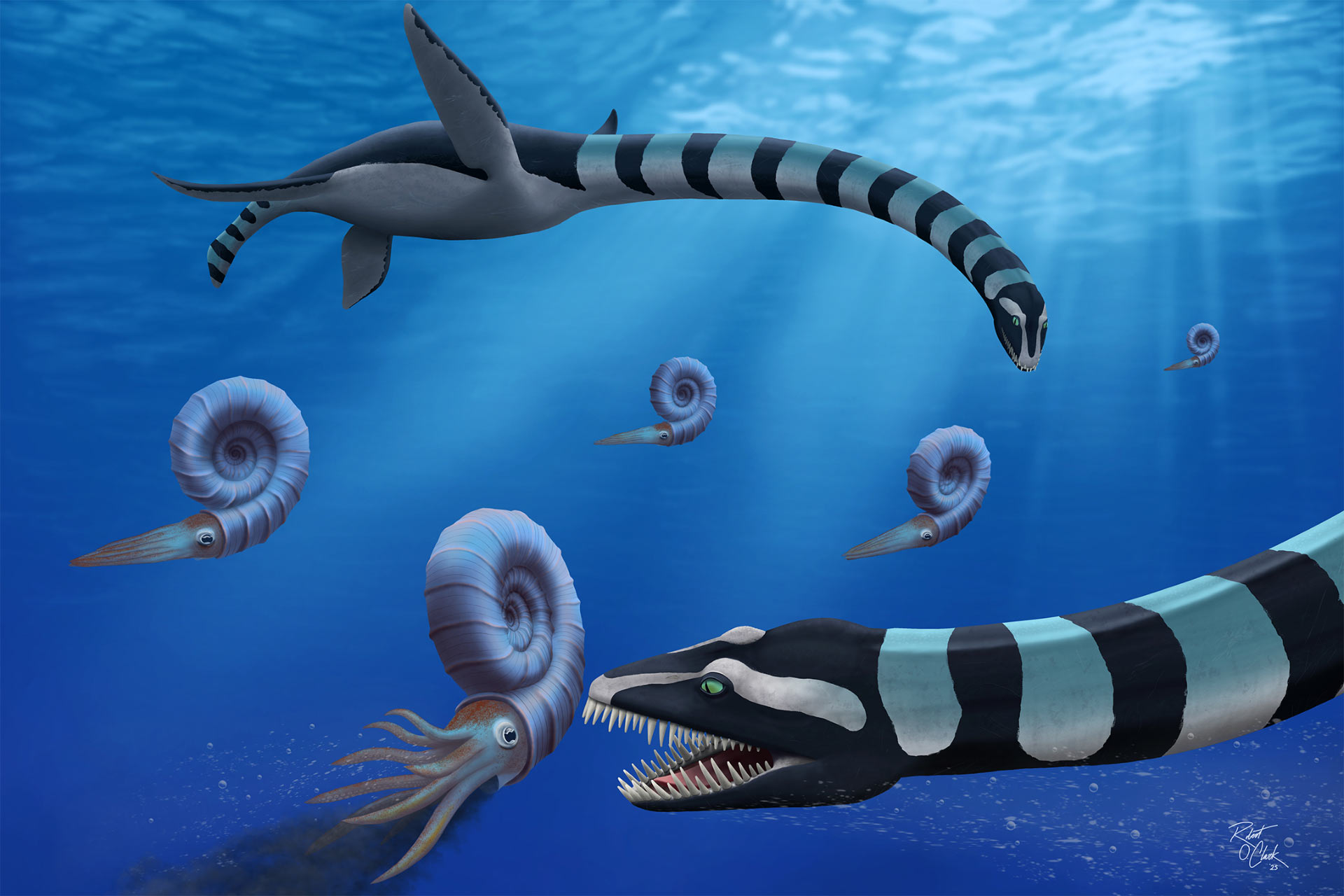 image13933e-traskasaura-sandrae-1748143669830816873709-1748218863522-1748218863612634383934.jpg