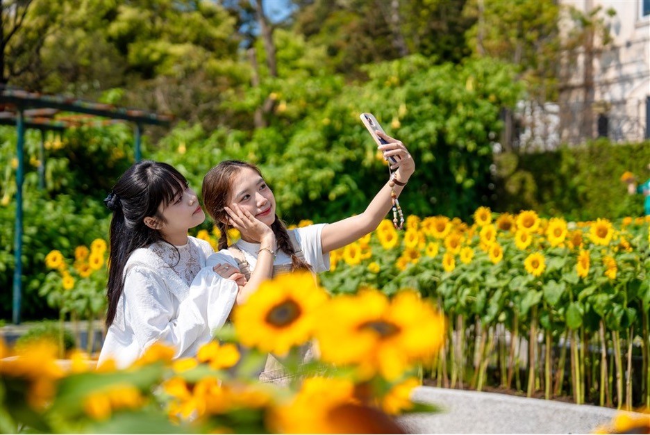 Sun World Ba Na Hills ngợp ngời sắc vàng trong lễ hội Hoa Mặt trời- Ảnh 2. Sun World Ba Na Hills ngợp ngời sắc vàng trong lễ hội Hoa Mặt trời- Ảnh 2.