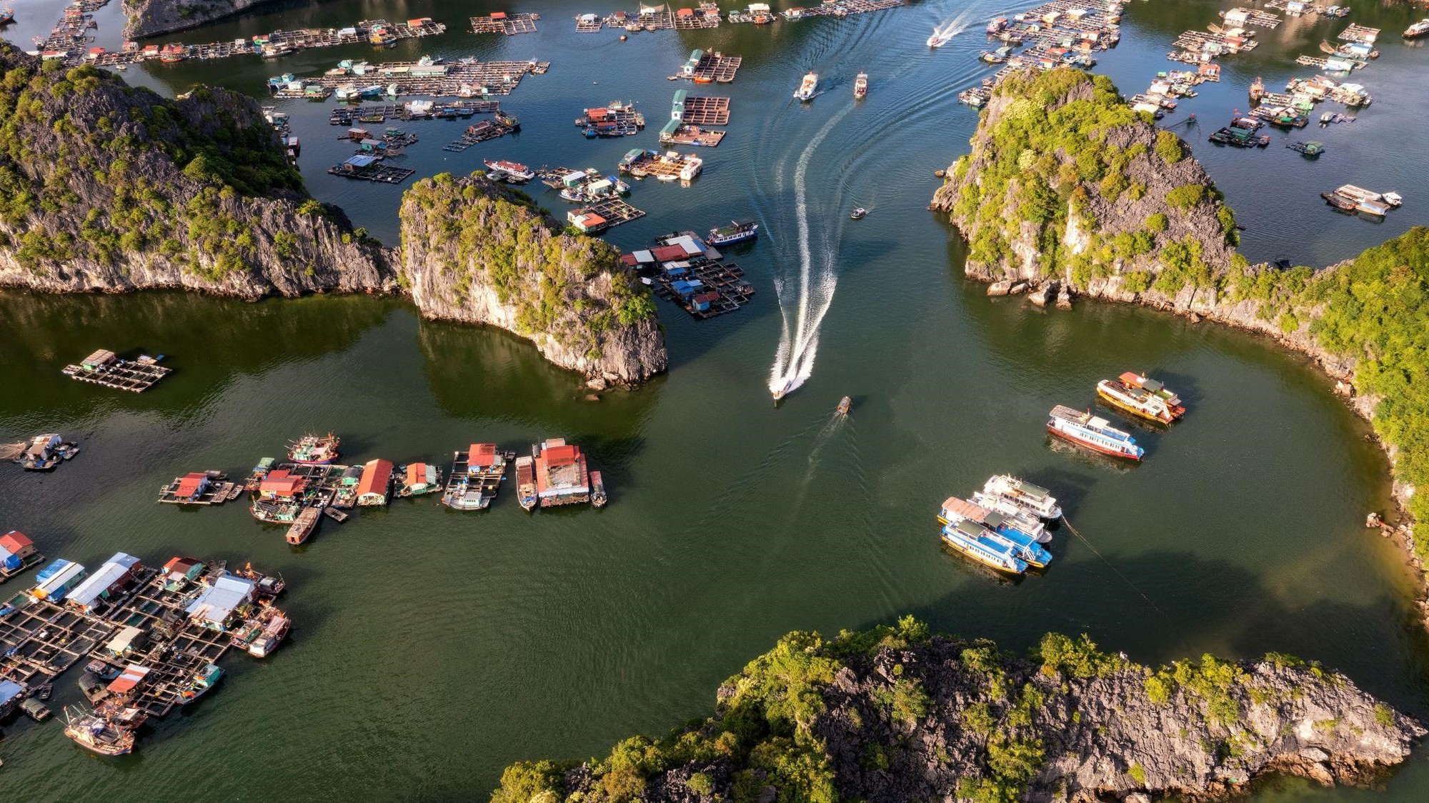 'Nằm lòng' những trải nghiệm hè nhất định phải thử ở Cát Bà- Ảnh 3. 'Nằm lòng' những trải nghiệm hè nhất định phải thử ở Cát Bà- Ảnh 3.