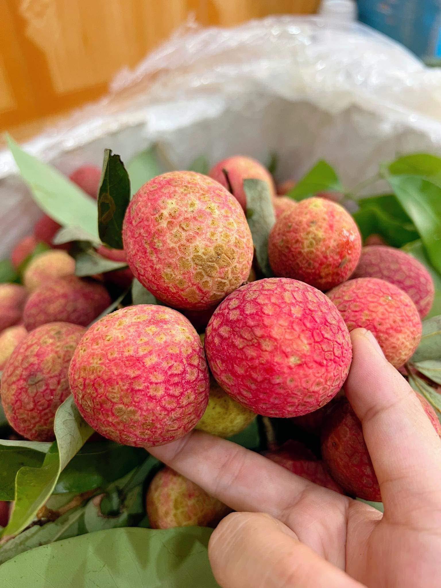 Vải u trứng trắng Hải Dương giá tiền trăm gây ‘sốt’ thị trường hoa quả Việt - Ảnh 11.