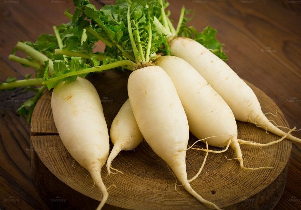 Loại củ rẻ bèo giúp thanh lọc máu, ngừa đột quỵ, nhưng thường bị lãng quên- Ảnh 1. Loại củ rẻ bèo giúp thanh lọc máu, ngừa đột quỵ, nhưng thường bị lãng quên- Ảnh 1.