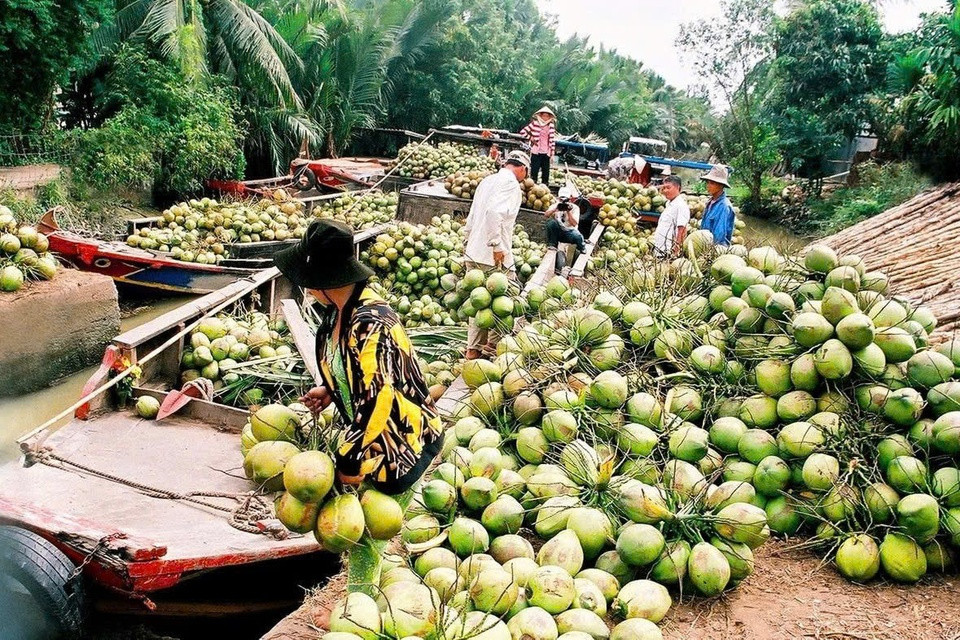 Loại quả Việt Nam có 2 triệu tấn, khách Mỹ và Trung Quốc tranh mua để giải nhiệt - Ảnh 1. Loại quả Việt Nam có 2 triệu tấn, khách Mỹ và Trung Quốc tranh mua để giải nhiệt - Ảnh 1.