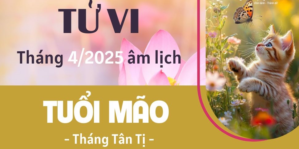 Tháng 4 âm lịch Ất Tỵ 2025, con giáp tuổi Mão rực rỡ về tài lộc, nhưng lại cần chú ý một điều đặc biệt này- Ảnh 3. Tháng 4 âm lịch Ất Tỵ 2025, con giáp tuổi Mão rực rỡ về tài lộc, nhưng lại cần chú ý một điều đặc biệt này- Ảnh 3.