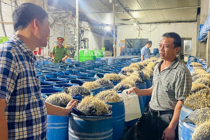 Khởi tố 3 bị can liên quan vụ 3.500 tấn giá đỗ ngâm hóa chất độc hại - Ảnh 2. Khởi tố 3 bị can liên quan vụ 3.500 tấn giá đỗ ngâm hóa chất độc hại - Ảnh 2.