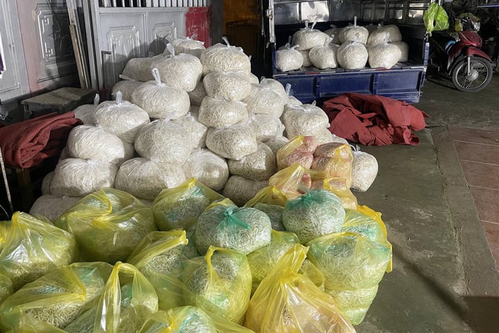 Khởi tố 3 bị can liên quan vụ 3.500 tấn giá đỗ ngâm hóa chất độc hại - Ảnh 4. Khởi tố 3 bị can liên quan vụ 3.500 tấn giá đỗ ngâm hóa chất độc hại - Ảnh 4.