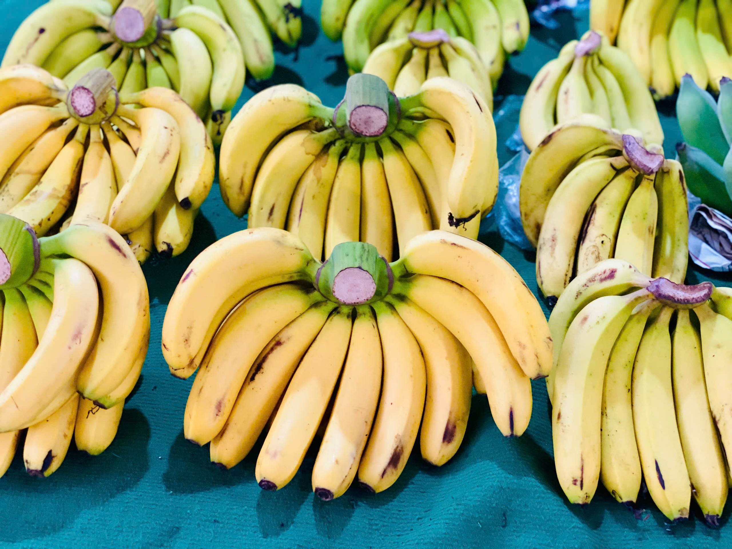 Loại quả được ví như ‘siêu thực phẩm’ bán đầy chợ Việt giá rẻ như cho- Ảnh 9.