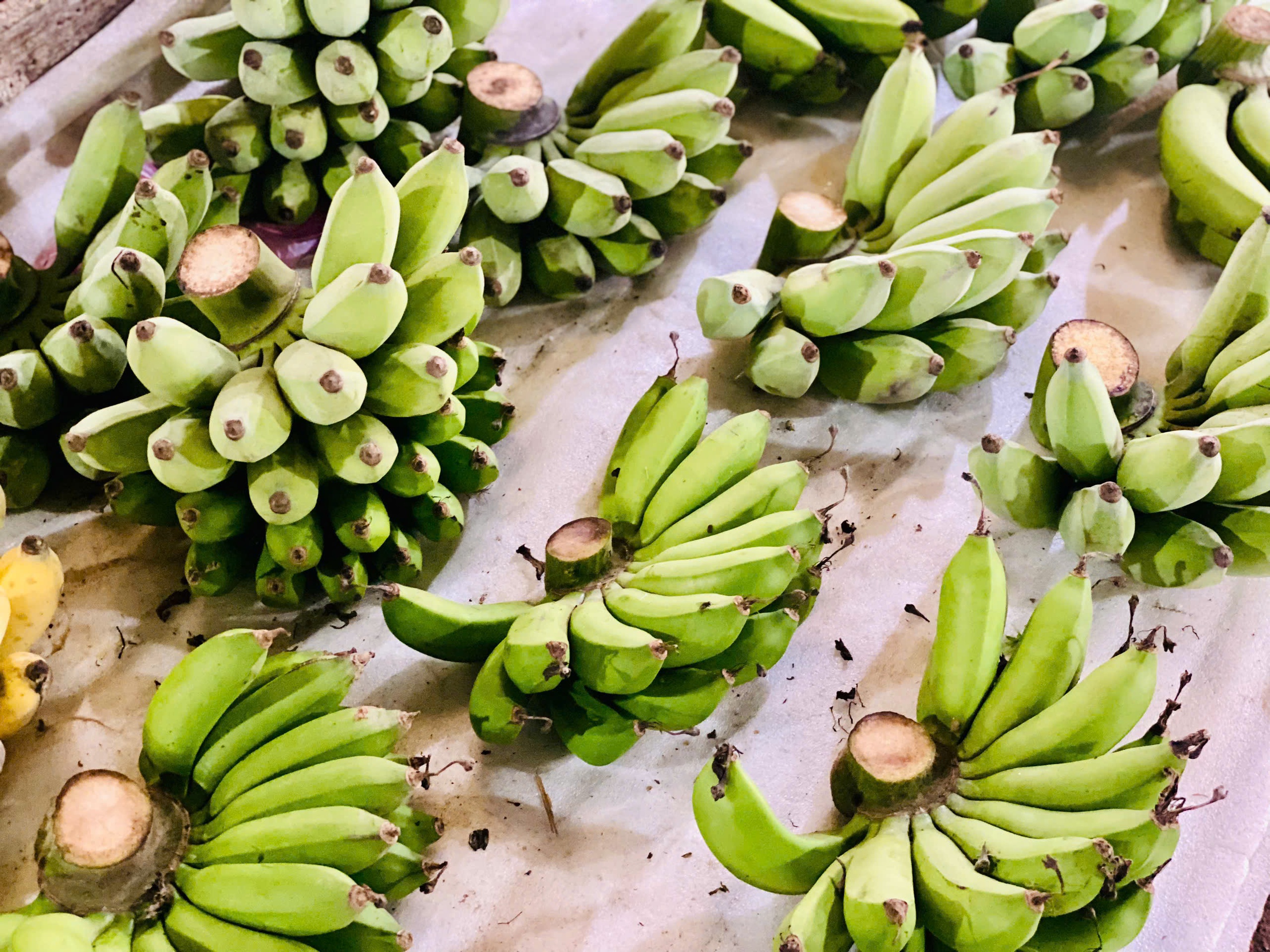 Loại quả được ví như ‘siêu thực phẩm’ bán đầy chợ Việt giá rẻ như cho- Ảnh 8.